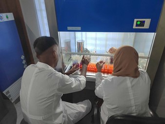 ������ʱ���������ǲ�(�й�����)������ҳ